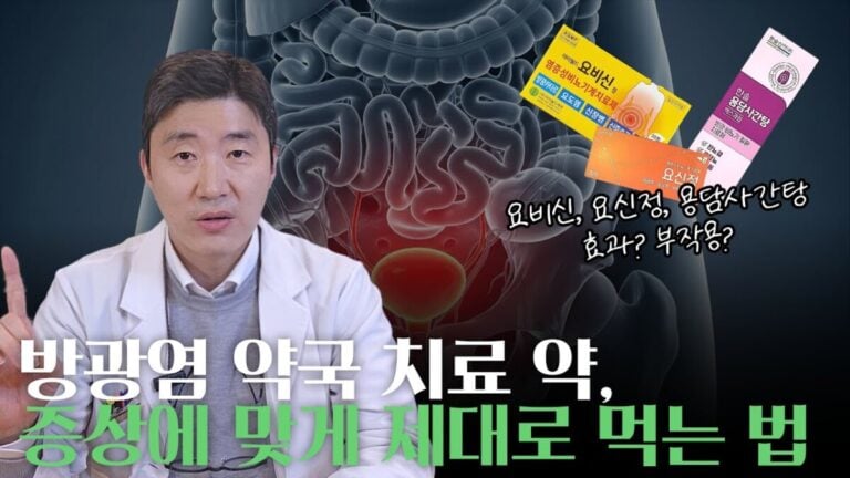 방광염 약국약 효과