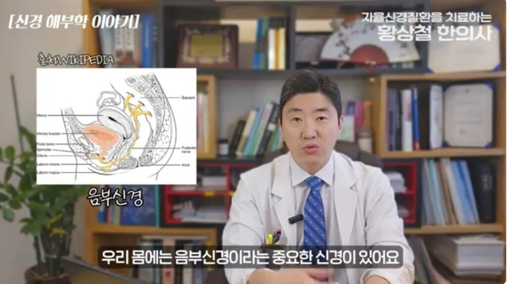 Symptoms of Anorectalis Syndrome Anatomy to explain the cause of anal pain