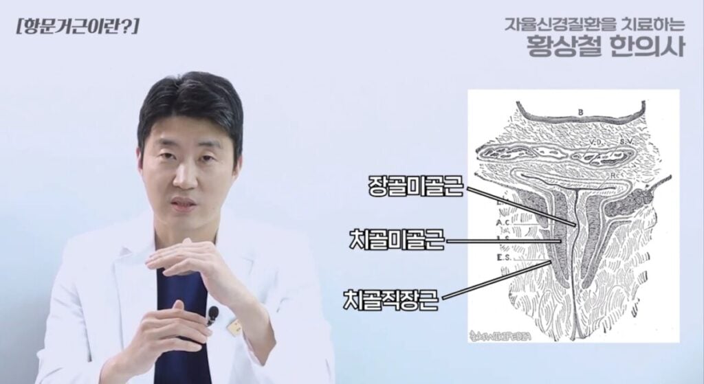 Anatomical explanation of the causes of anal sphincter syndrome symptoms