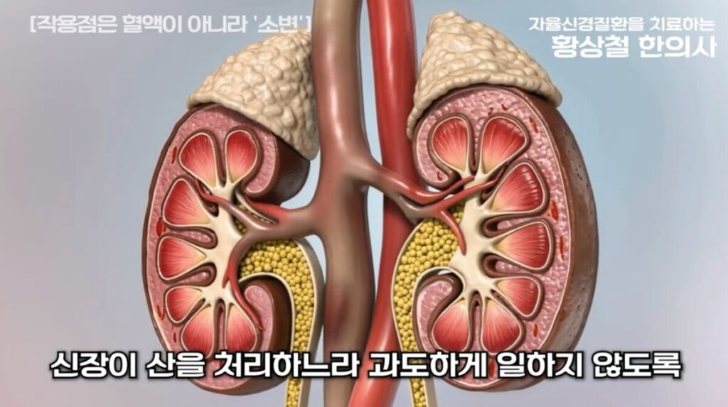 아침 첫 소변 통증과 낮은 pH 관련 설명