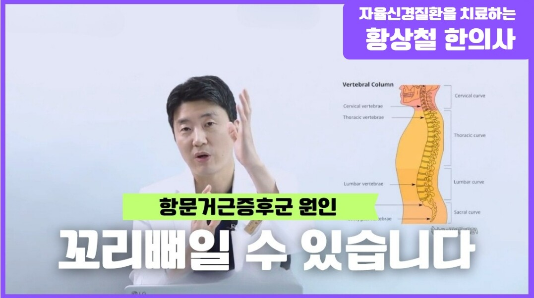 항문거근증후군 진짜 원인