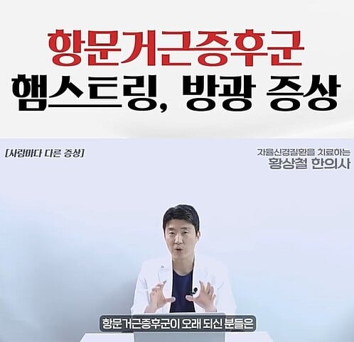 항문거근과 방광 위치 관계를 설명하는 골반 해부 이미지